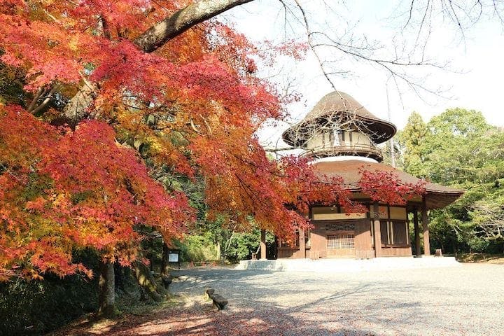 【2022年】上野公園の紅葉