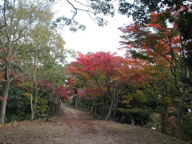 【2022年】東山公園の紅葉