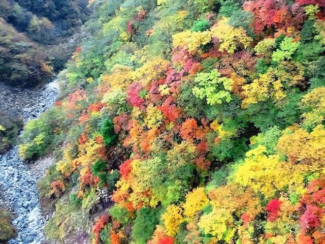 【2022年】霧降高原の六方沢の紅葉