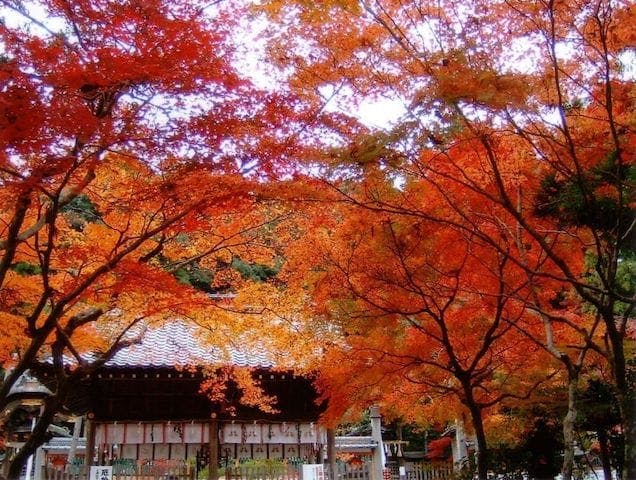 【2022年】鍬山神社の紅葉