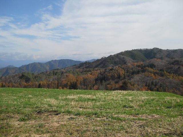 【2022年】数河高原の紅葉