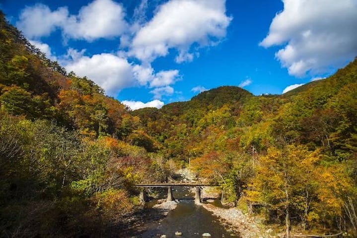 【2022年】久慈渓流の紅葉