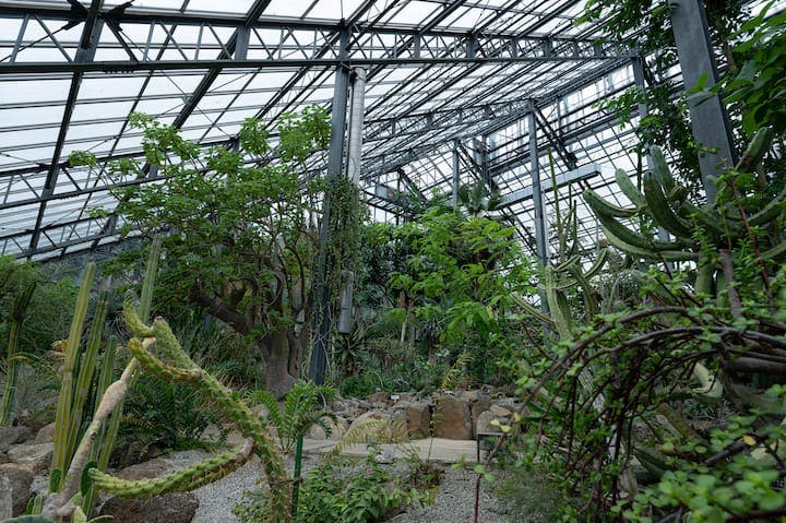 筑波実験植物園