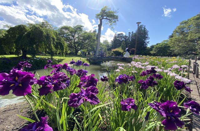 スポットの写真