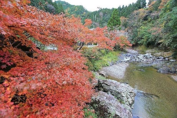 【2022年】玉川峡の紅葉