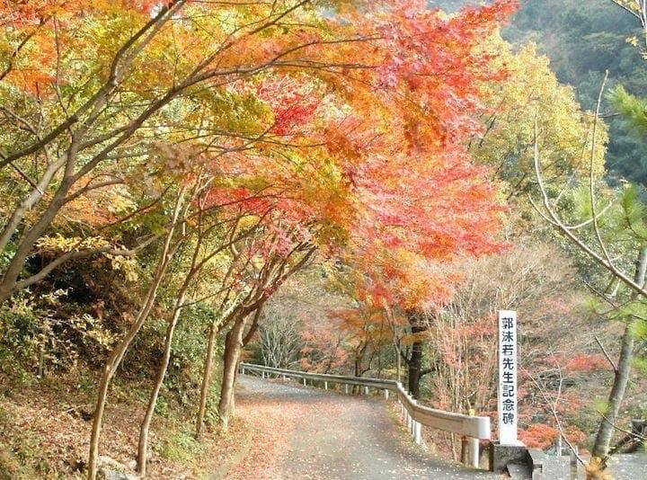 スポットの写真