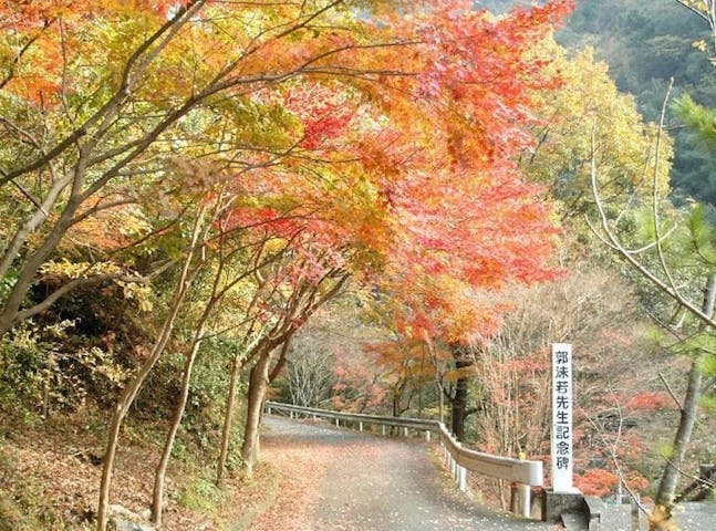 雄淵雌淵公園の紅葉