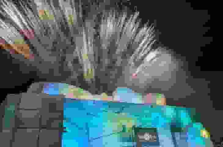 スポットの写真