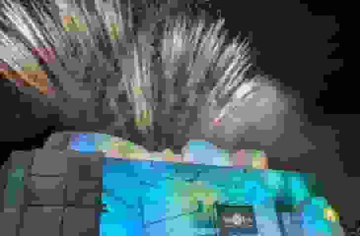 第67回旭川冬まつり