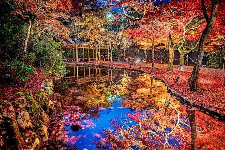 【2022年】宮島・紅葉谷公園の紅葉