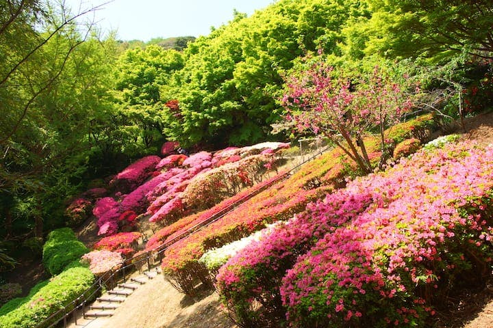 白野江植物公園