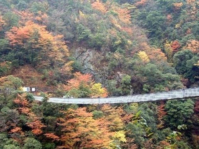 【2022年】五家荘（梅の木轟公園）の紅葉