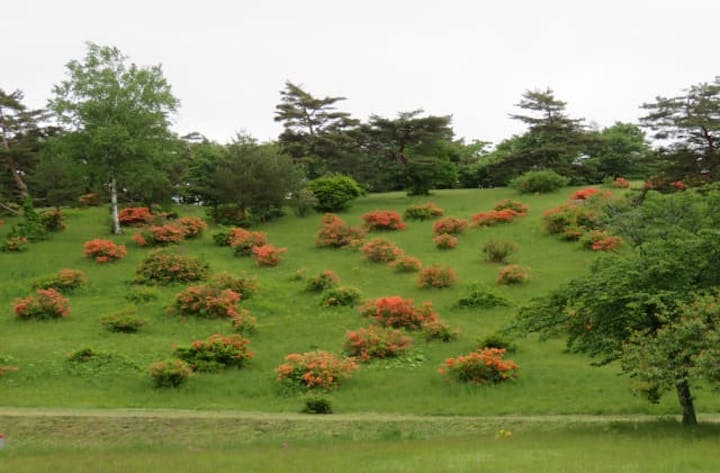 高森高原まつり