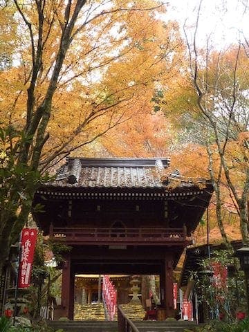 【2022年】龍蔵寺の紅葉