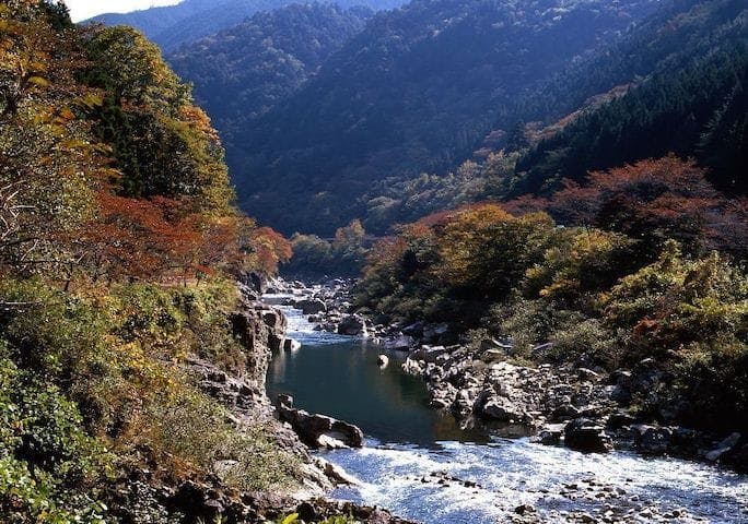【2022年】中山七里の紅葉