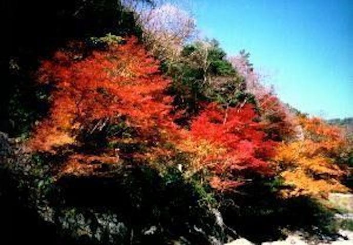 【2022年】安蔵寺山の紅葉