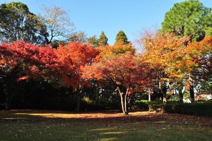 【2022年】戸定が丘歴史公園の紅葉
