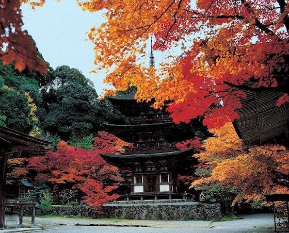 【2022年】湖東三山　西明寺の紅葉