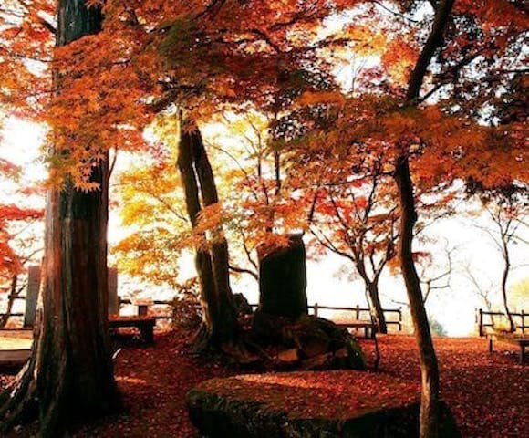 【2022年】太平山県立自然公園謙信平の紅葉