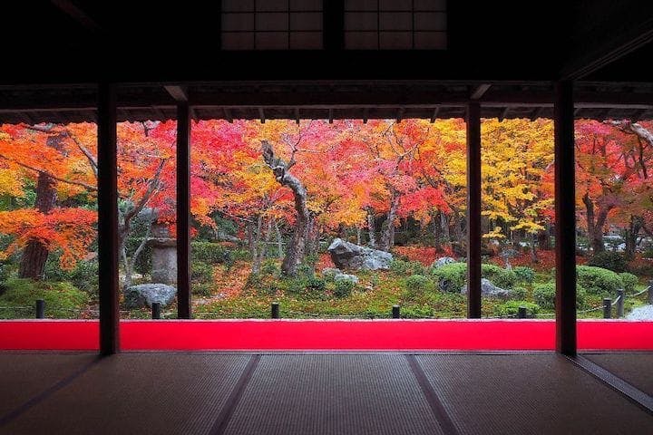【2022年】洛北（圓光寺）の紅葉