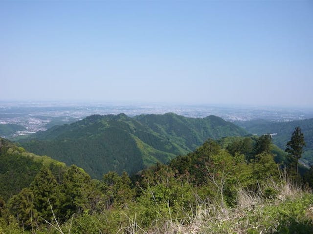 景信山
