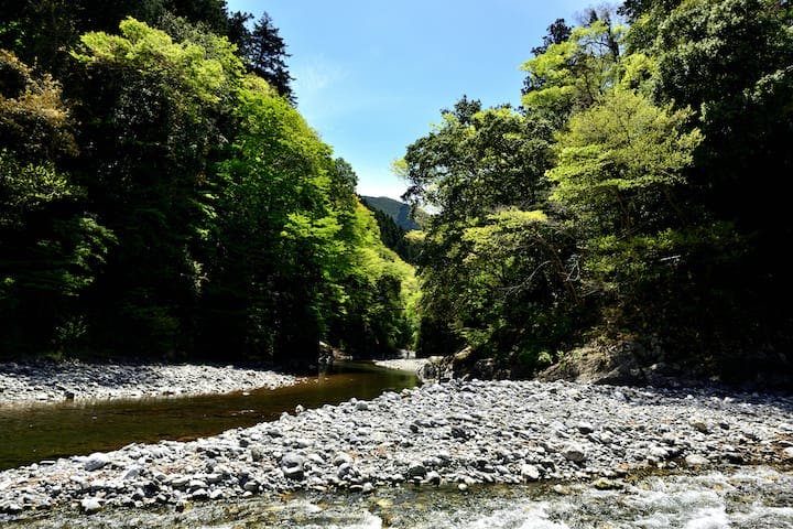 氷川キャンプ場