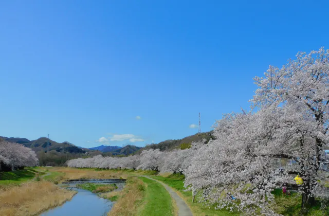 スポットの写真