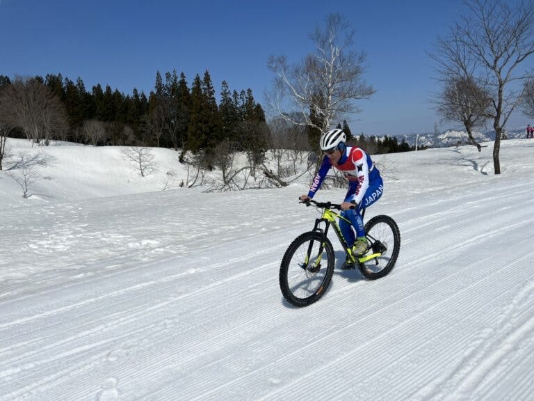 スポットの写真