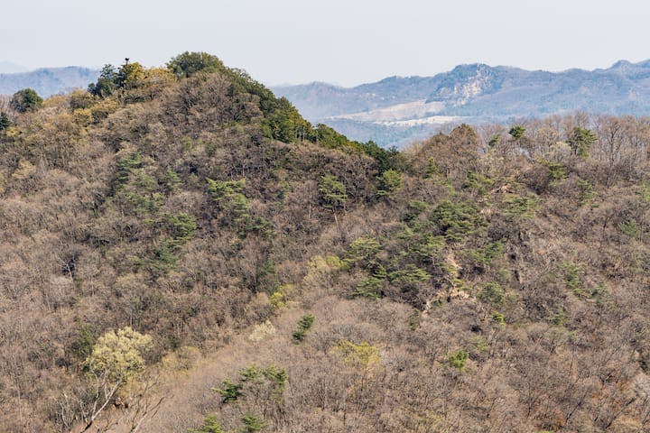 両崖山