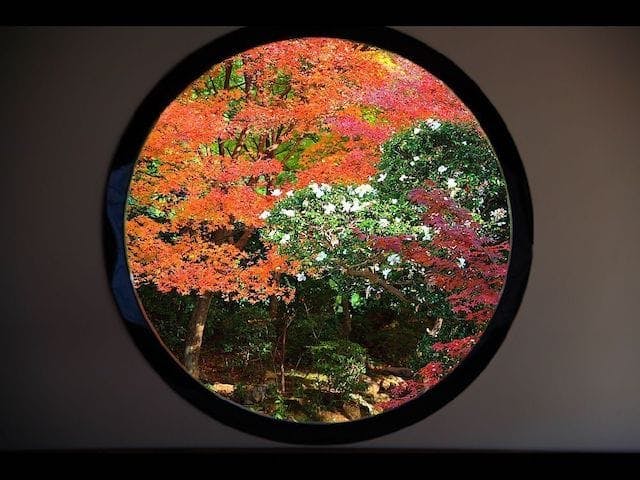 【2022年】源光庵の紅葉