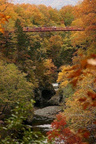 【2022年】岩内仙峡の紅葉