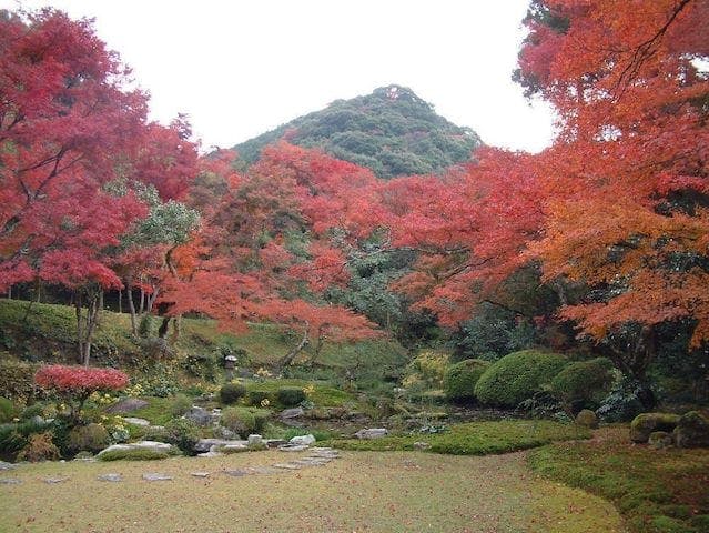 【2022年】清水寺本坊庭園の紅葉