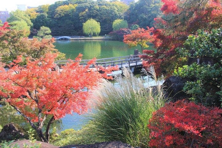 【2022年】徳川園の紅葉
