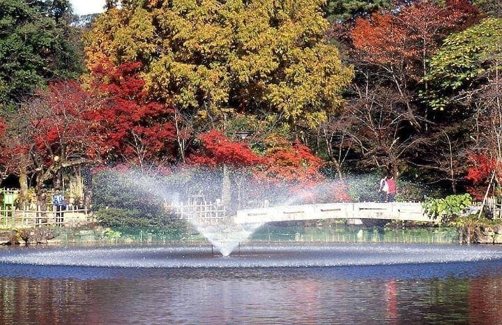 【2022年】高岡古城公園の紅葉
