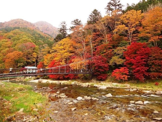 【2022年】塩原の紅葉