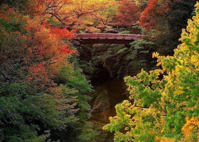 【2022年】名勝　猿橋の紅葉