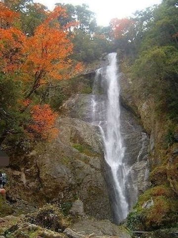 【2022年】五家荘（せんだん轟の滝）の紅葉