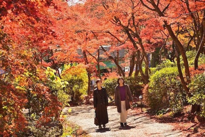 【2022年】筑波山の紅葉