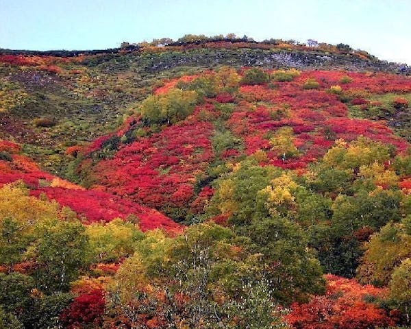 【2022年】大雪山（赤岳、銀泉台）の紅葉