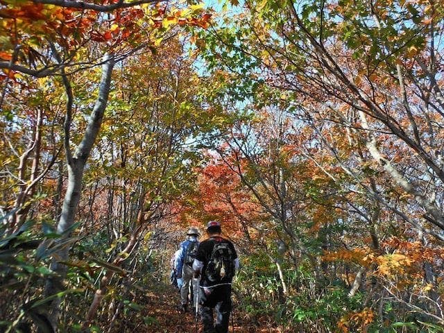 【2022年】大万木山の紅葉