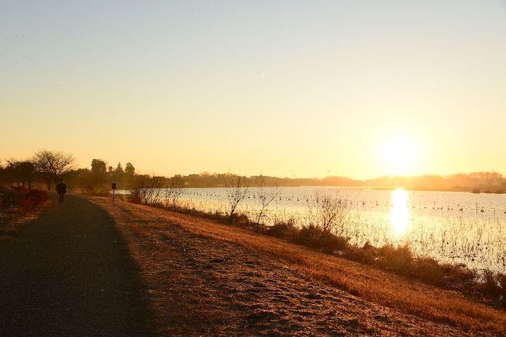 【2023年初日の出】館林市　朝陽の小径