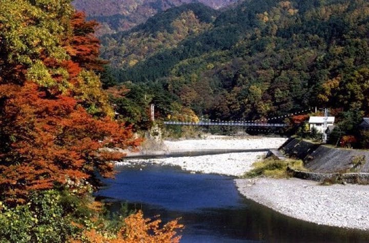 【2022年】荒川峡もみじラインの紅葉