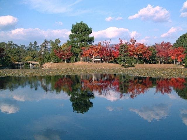 【2022年】衆楽園の紅葉