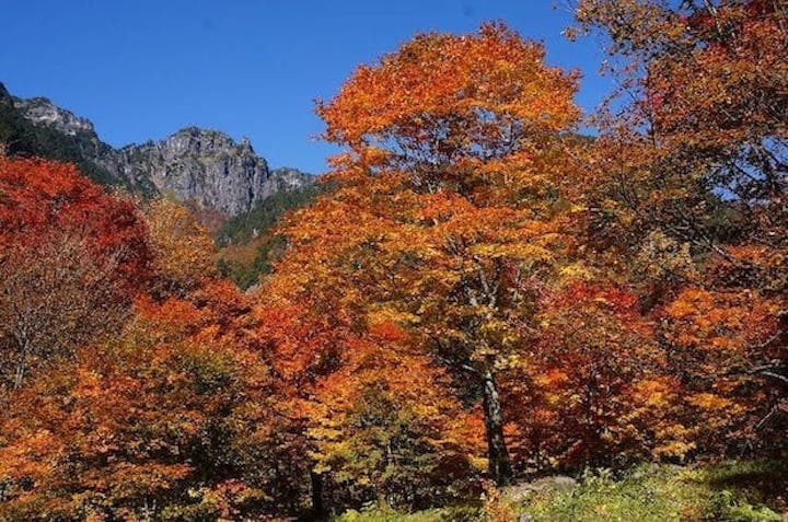 【2022年】奥飛騨温泉郷の紅葉