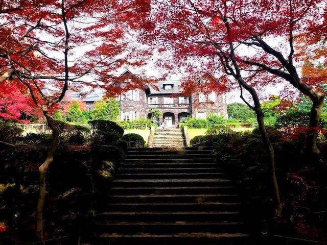 【2022年】旧古河庭園の紅葉