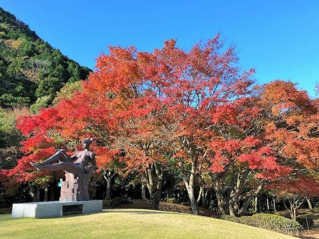 【2022年】天城（昭和の森会館）の紅葉
