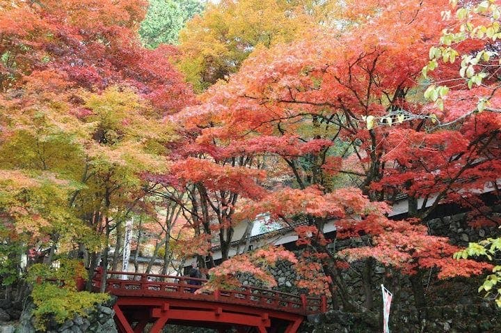 【2022年】両界山横蔵寺の紅葉