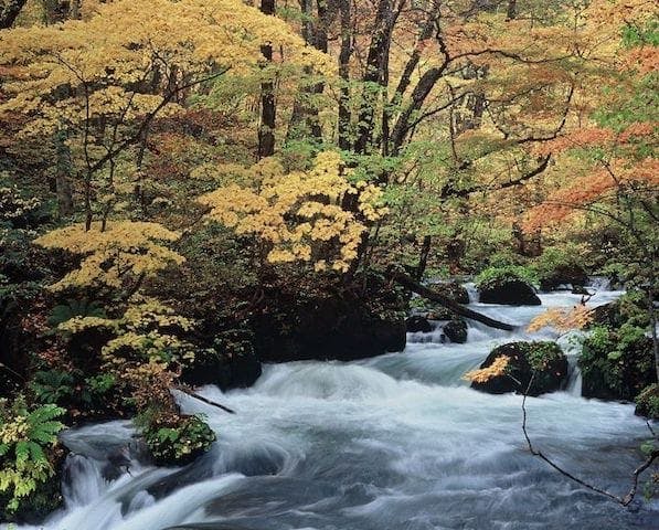 【2022年】奥入瀬渓流の紅葉