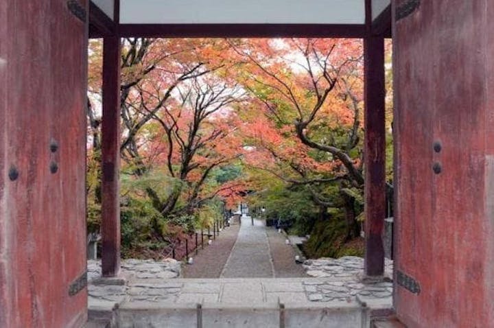 【2022年】常寂光寺の紅葉