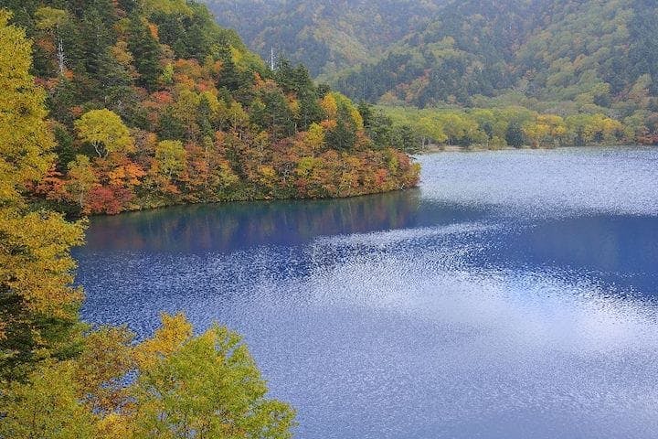 【2022年】志賀高原の紅葉